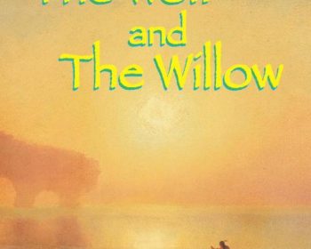 The cover of the wolf and the willow.