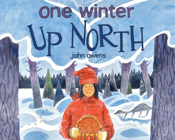 One winter up north by john owers.