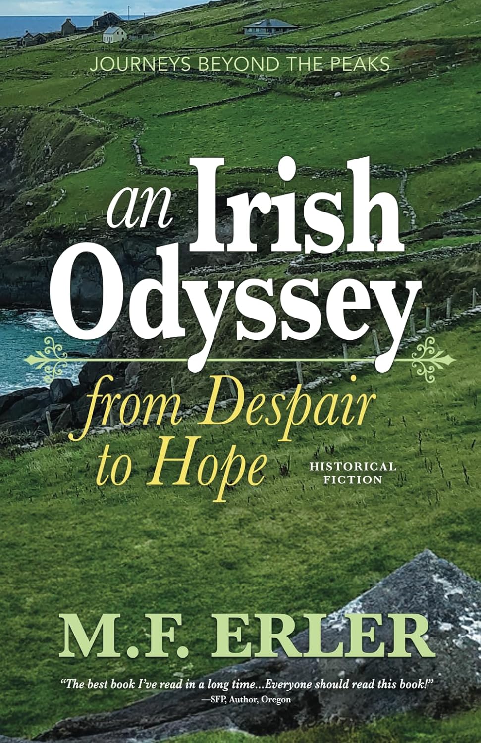 Sharon Brunner An Irish Odyssey: from Despair to Hope - by M.F. Erler - UP Book Review