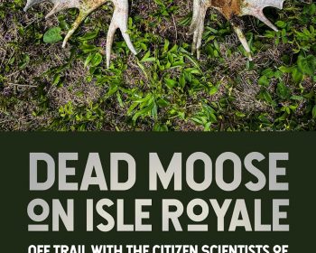 Two moose antlers lie on grass. Below them, the book title reads, "Dead Moose on Isle Royale: Off Trail with the Citizen Scientists of the Wolf-Moose Project" by Jeffrey M. Holden.
