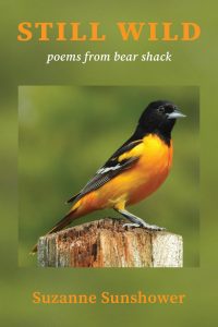 A book cover with an image of a Baltimore oriole perched on a wooden post. The title "STILL WILD poems from bear shack" appears above the bird, and the author "Suzanne Sunshower" is written below.