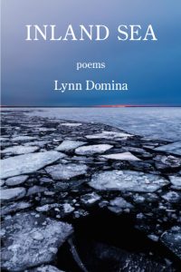 Book cover for "Inland Sea: Poems" by Lynn Domina, featuring a photograph of cracked ice on a body of water under a blue and purple sky with a faint line of orange at the horizon.