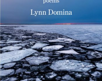 Book cover for "Inland Sea: Poems" by Lynn Domina, featuring a photograph of cracked ice on a body of water under a blue and purple sky with a faint line of orange at the horizon.