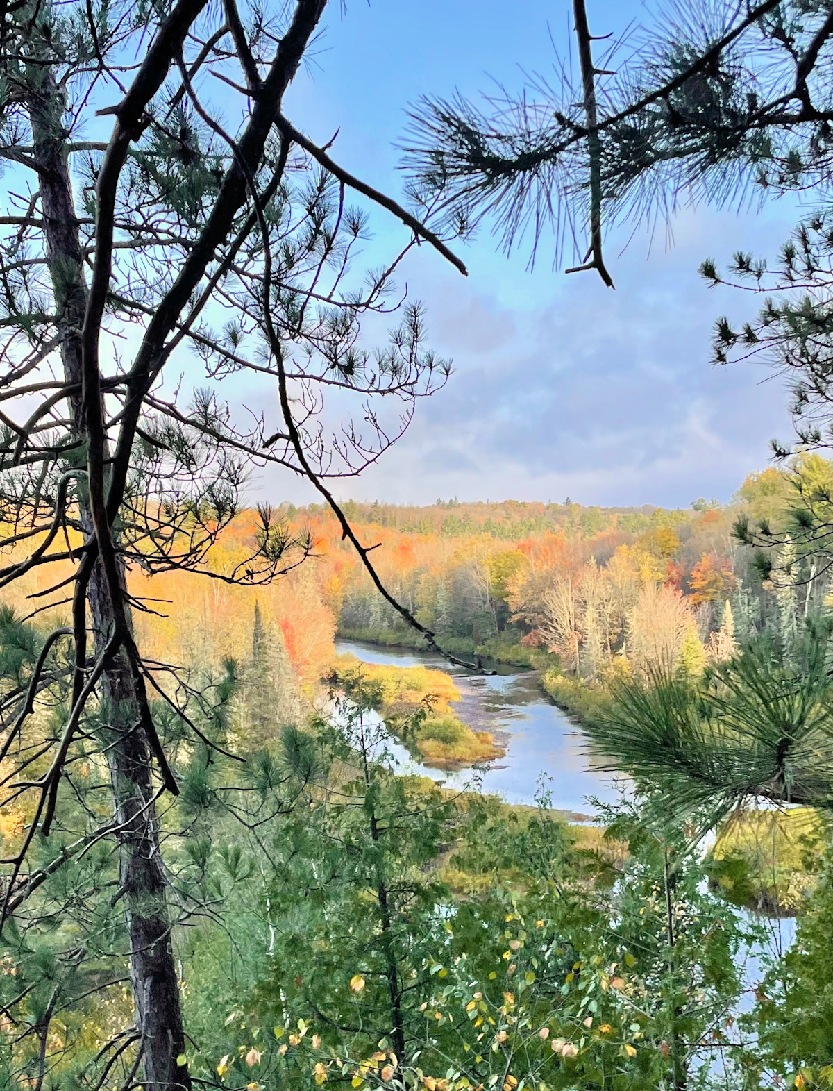 View of a winding river surrounded by trees with autumn foliage, seen through branches of pine trees in the foreground, under a partly cloudy blue sky.