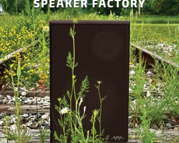 A black speaker sits among wildflowers on old, overgrown railroad tracks. The words “AMASA SPEAKER FACTORY” and “POEMS CHAD FARIES” appear over the image. Trees and a cloudy sky are visible in the background.
